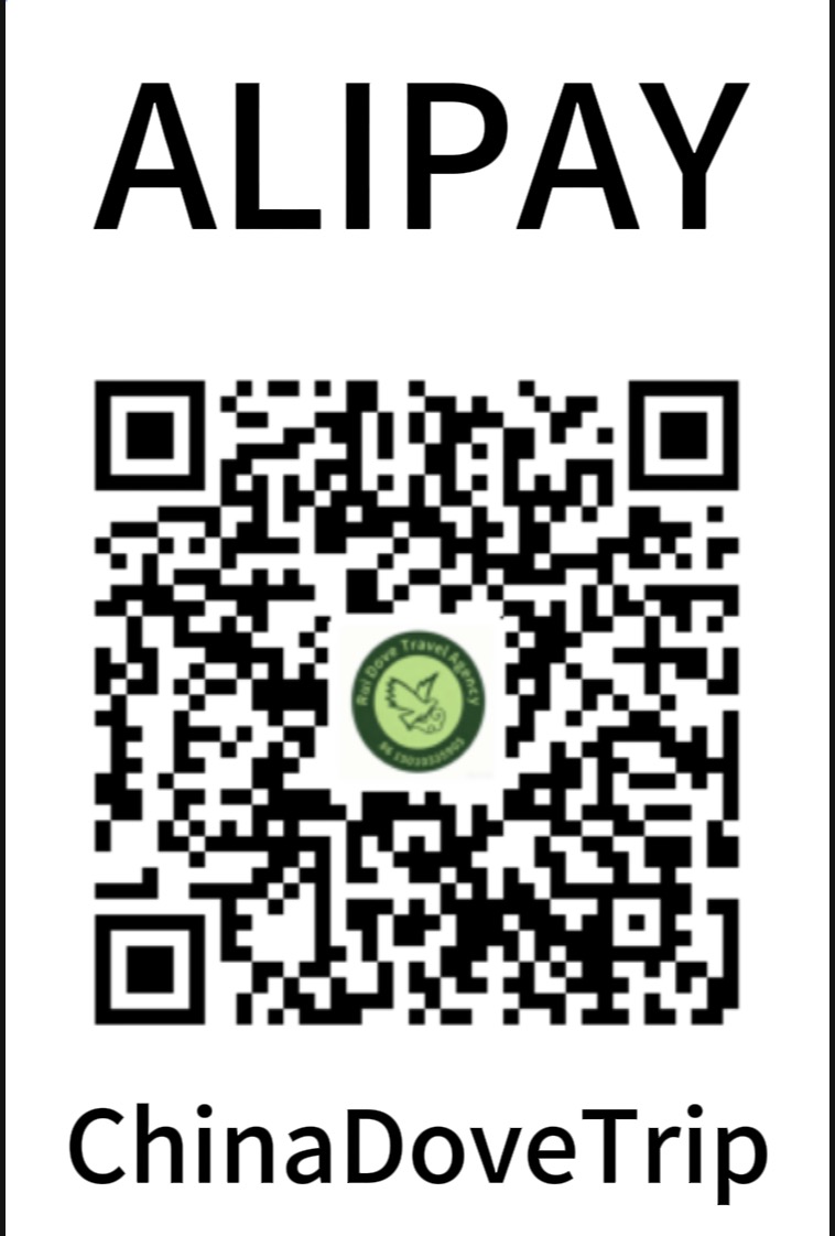 Alipay QR Code