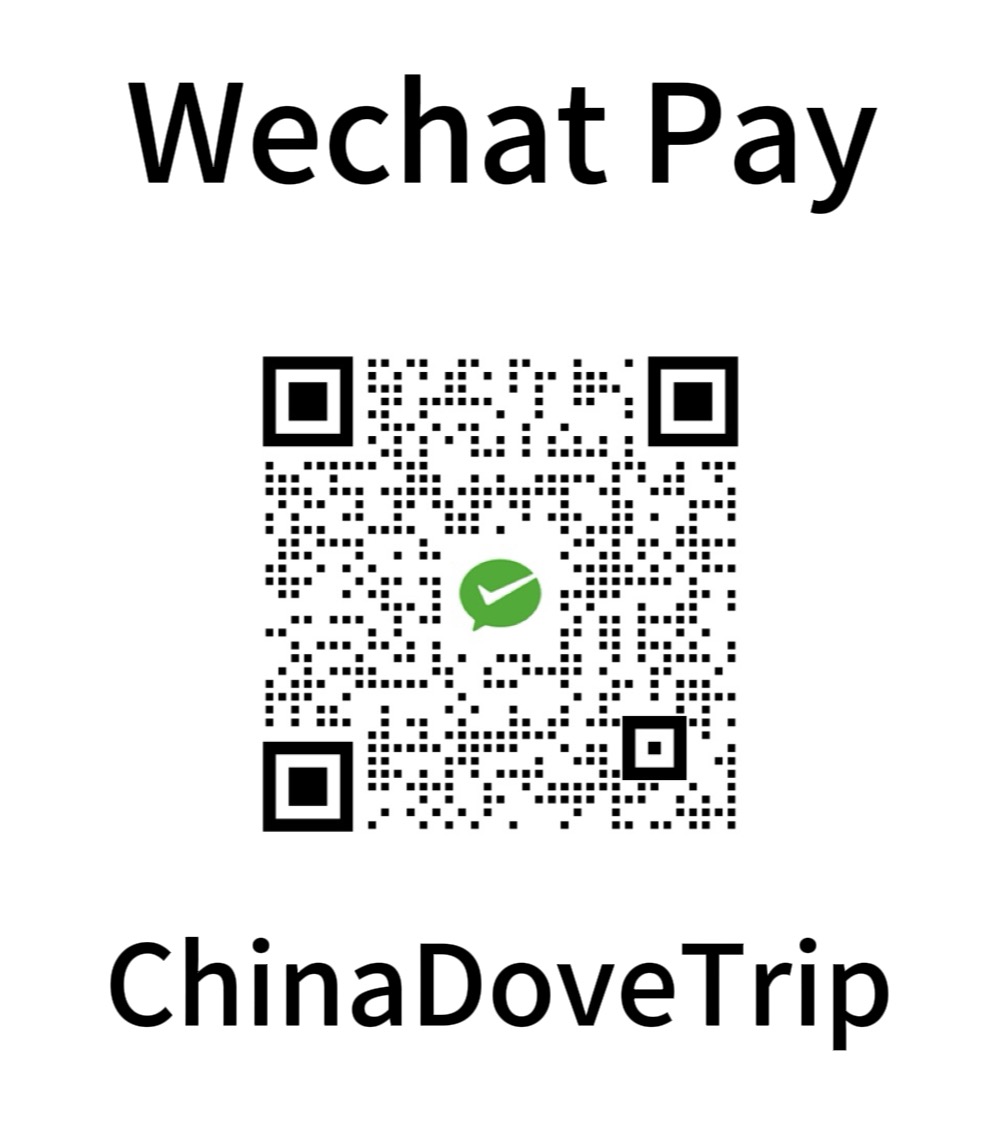 Wechat Pay QR Code